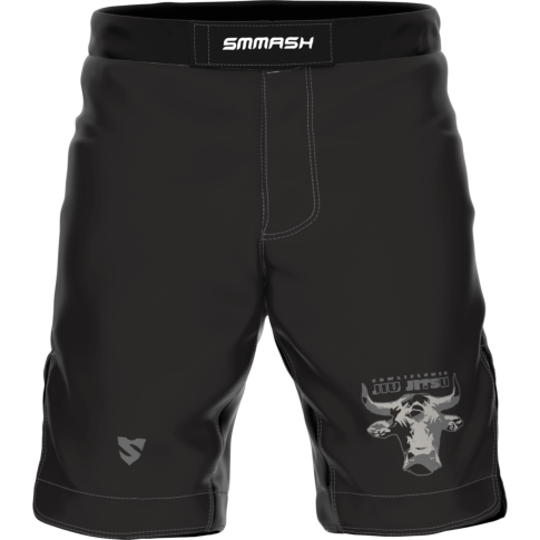 MMA PRO SHORTS